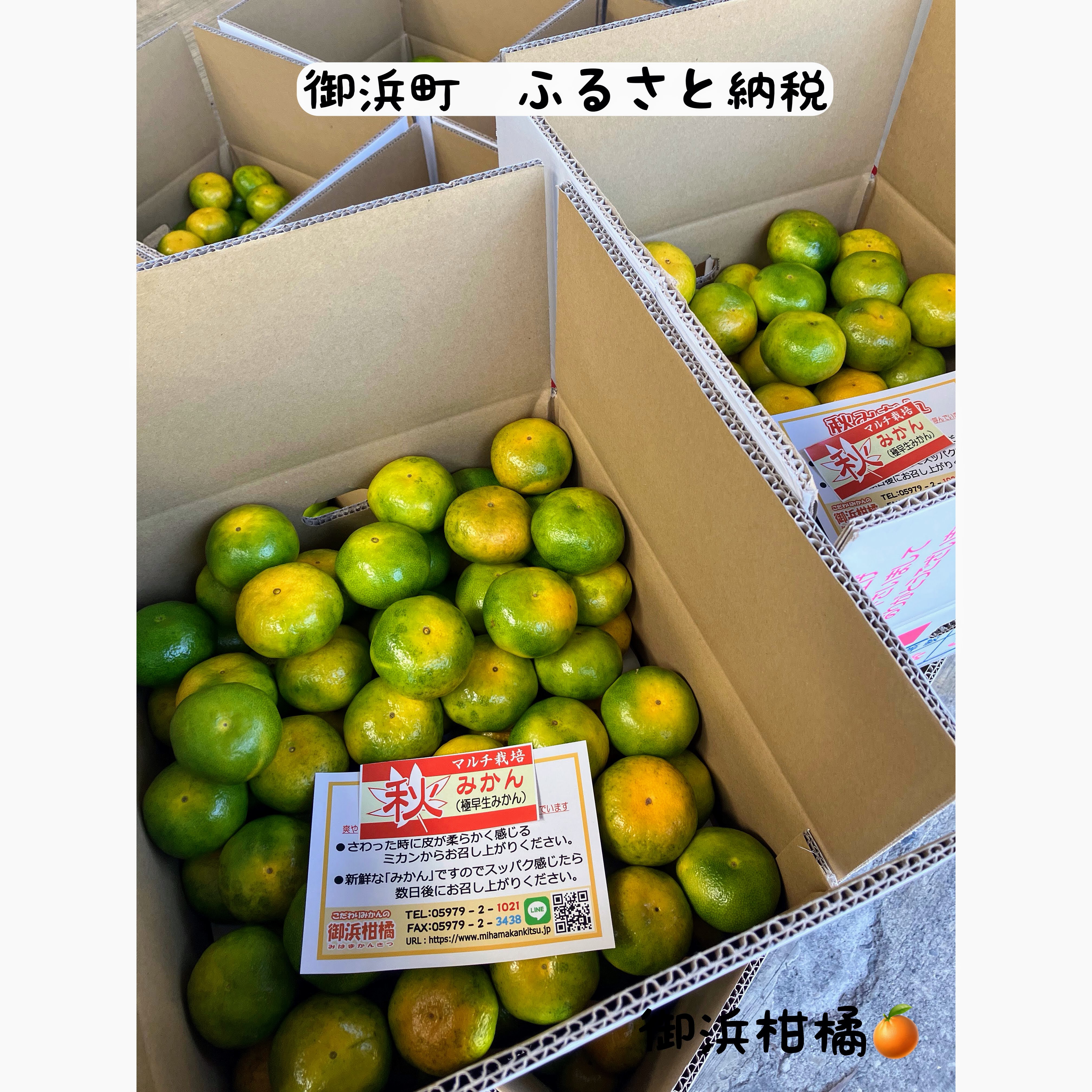 みかん d9a3c1301147eec8e0111b733753f0