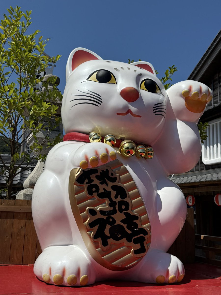 iseman_official's tweet photo. 今月29日まで、
おかげ横丁「来る福 招き猫まつり」開催中！

当蔵では、吟醸おかげさまの「招き猫ボトル300ml」を販売しております。販売数に限りがございますので、売り切れの際はご容赦くださいませ。

色んな招き猫ちゃん達で賑やかなおかげ横丁に、ぜひご来丁下さい。

お酒は20歳になってから。 https://t.co/74Vzn5d3M7