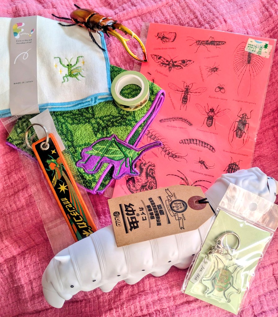 念願の昆虫MANIACと大阪市立自然史博物館いけたっ！！楽しすぎたよ😭もっとグッズ買いたかったよ🐛