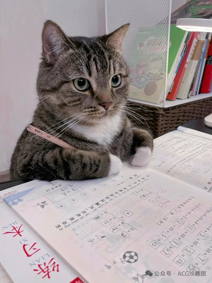 alchemist tweet media