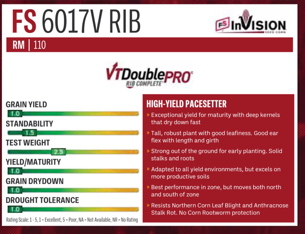 Brandon Hall tweet media