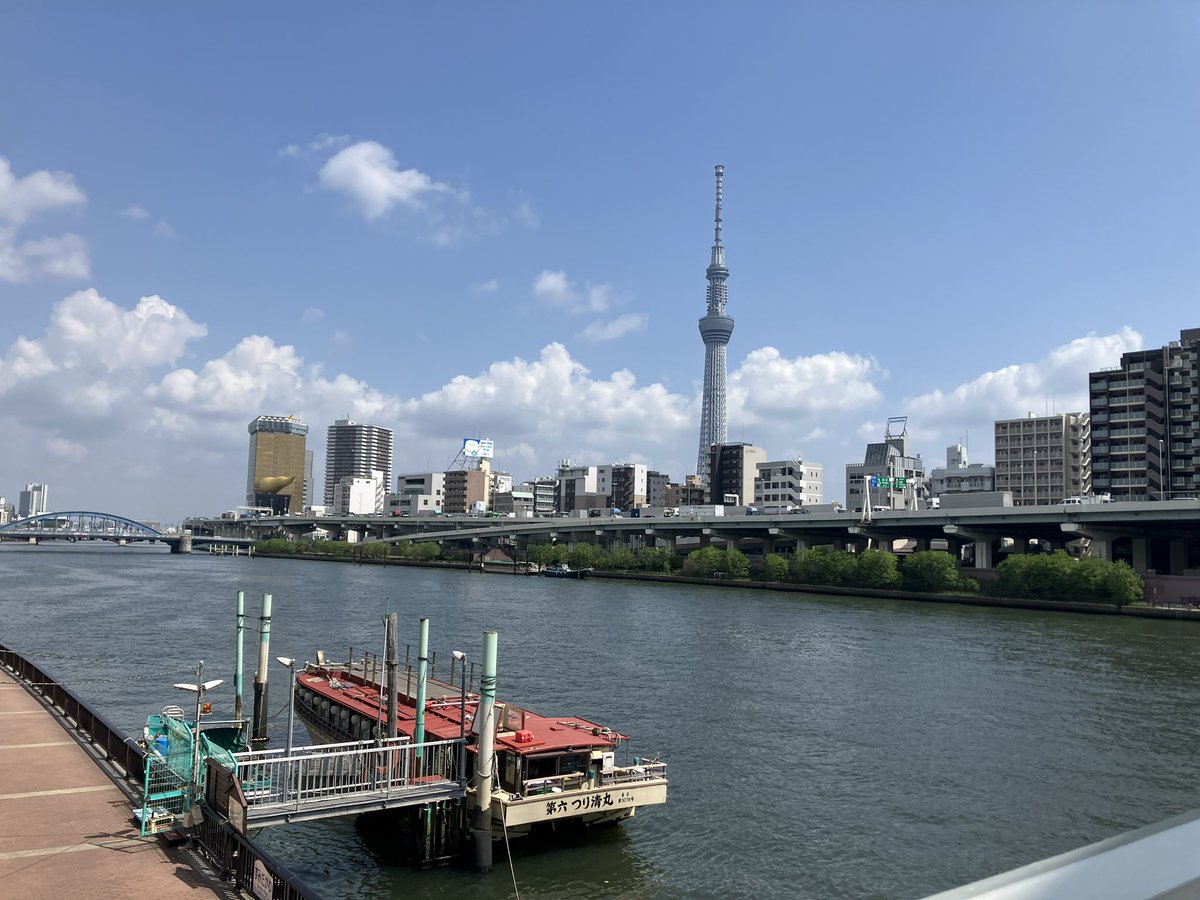 syntax_foxy1209's tweet image. 