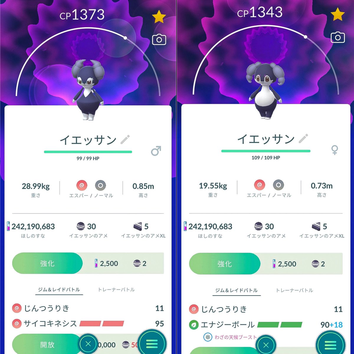 sensray's tweet image. #PokemonGO
#ポケモンGO
#Indeedee
#イエッサン