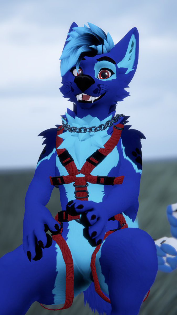 🫐GravityWolf🇺🇸🔜MFF (@gravity_thewolf) on Twitter photo May as well show of the the CloudXdoggo I got really loving it
Thank you <a href="/Cloud1516/">Cloud Husky Landar #MFF</a> May as well show of the the CloudXdoggo I got really loving it
Thank you <a href="/Cloud1516/">Cloud Husky Landar #MFF</a>