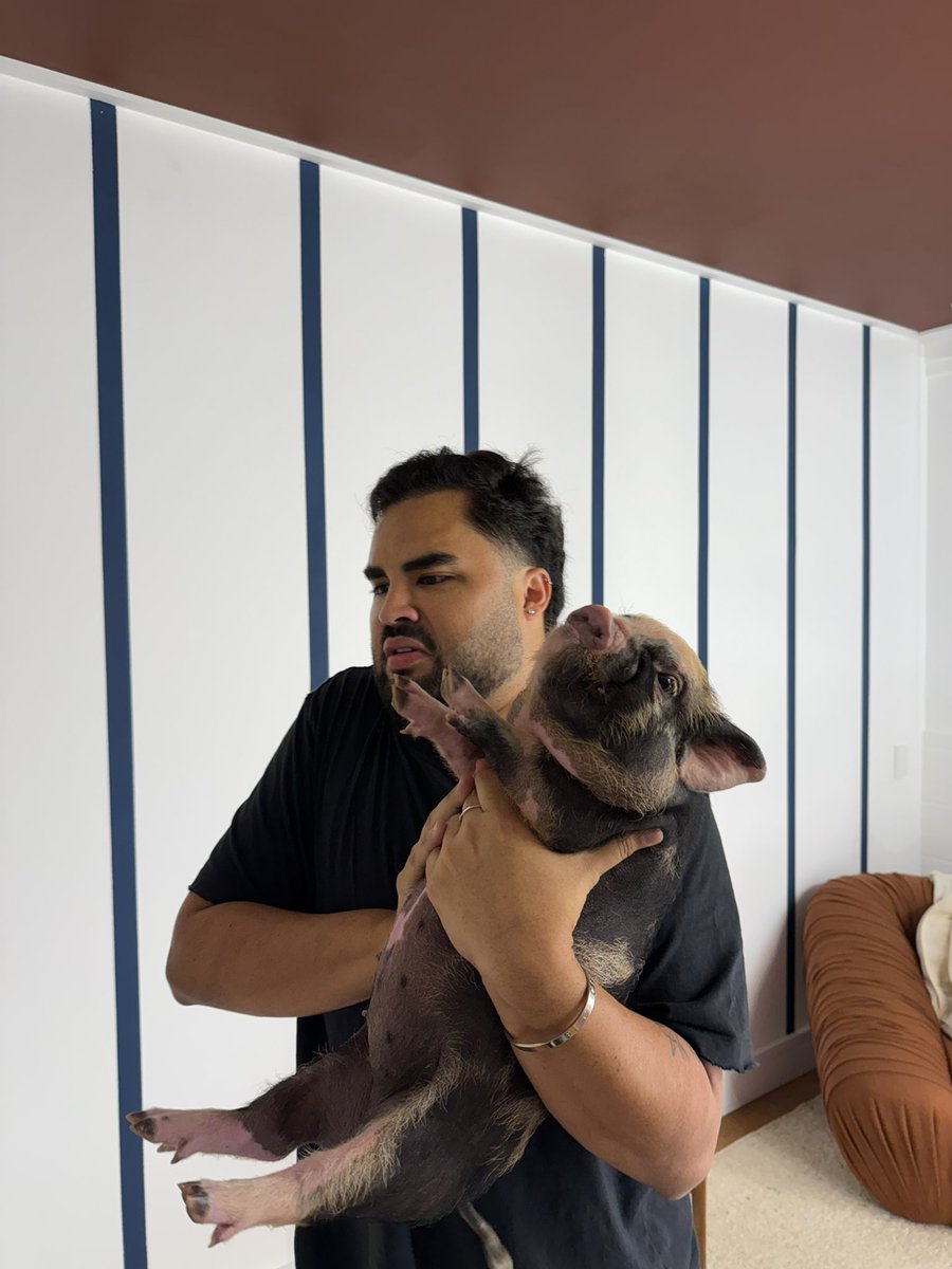 lucas guedez tweet media