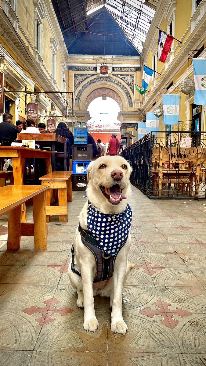 #Africaterapia los paseos con África siempre son lo mejor!!!