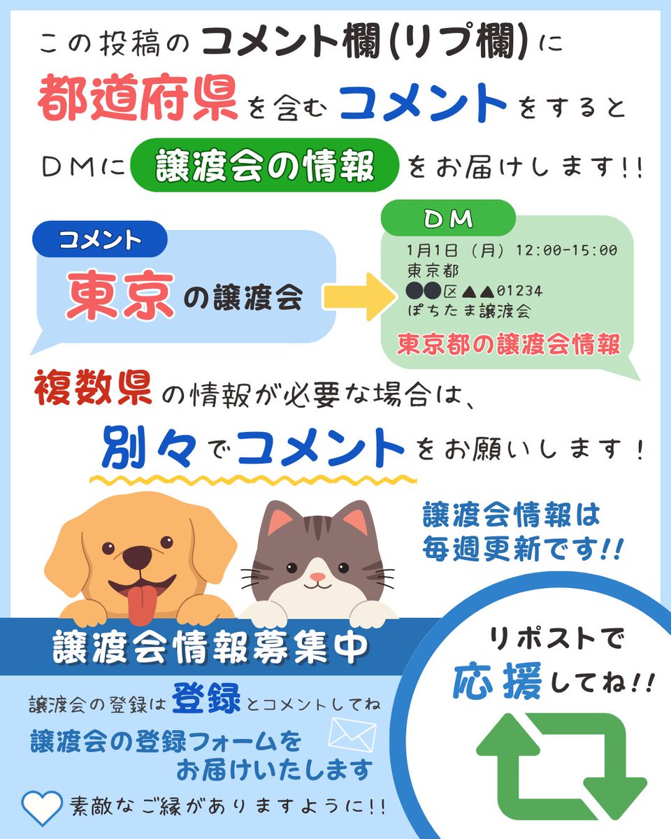 【今週の譲渡会情報🐾】
ずっとのおうちを探している保護猫さん・保護犬さんと、里親さんをつなぐ幸せのきっかけ
譲渡会の日時はコメント欄へ▼

【地域別の情報がほしい方へ】