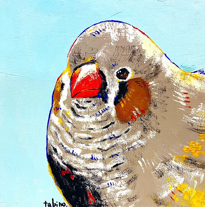 キンカチョウ描きました。 #キンカチョウ #鳥イラスト