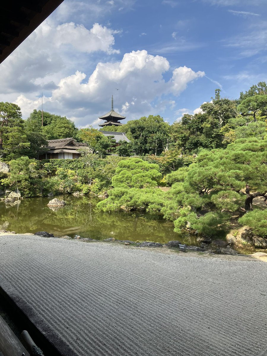 20thandcoming's tweet photo. 京都一泊して夜の京都も堪能した(๑>◡<๑)
神社やお寺もたくさん行けたし、念願だった幕末志士の方々のお墓参りも行けて本当に幸せ。 https://t.co/KcNPaKGus7