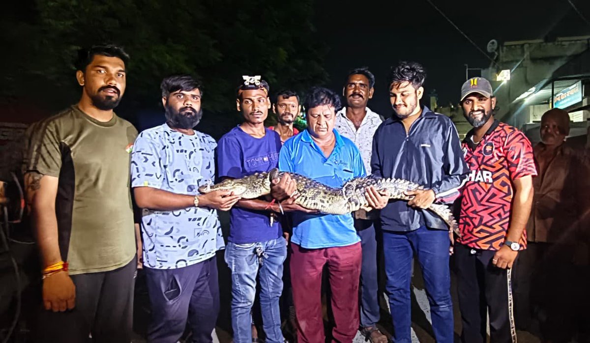 DDNewsGujarati's tweet image. 🟧વડોદરાના અણખોલ ગામથી ચાર ફૂટનો મગર મળી આવ્યો

🟧તેની જાણ વાઇલ્ડ લાઇફ રેસ્ક્યુ ટ્રસ્ટના યુવરાજસિંહ રાજપુત અને યશ તડવી થતા તેઓએ મગરને સુરક્ષિત રીતે રેસ્ક્યુ કરી વન વિભાગને સોંપ્યું 

#Vadodara #AnkholVillage #CrocodileRescue #WildlifeRescue #ForestDepartment #YuvrajsinhRajput…