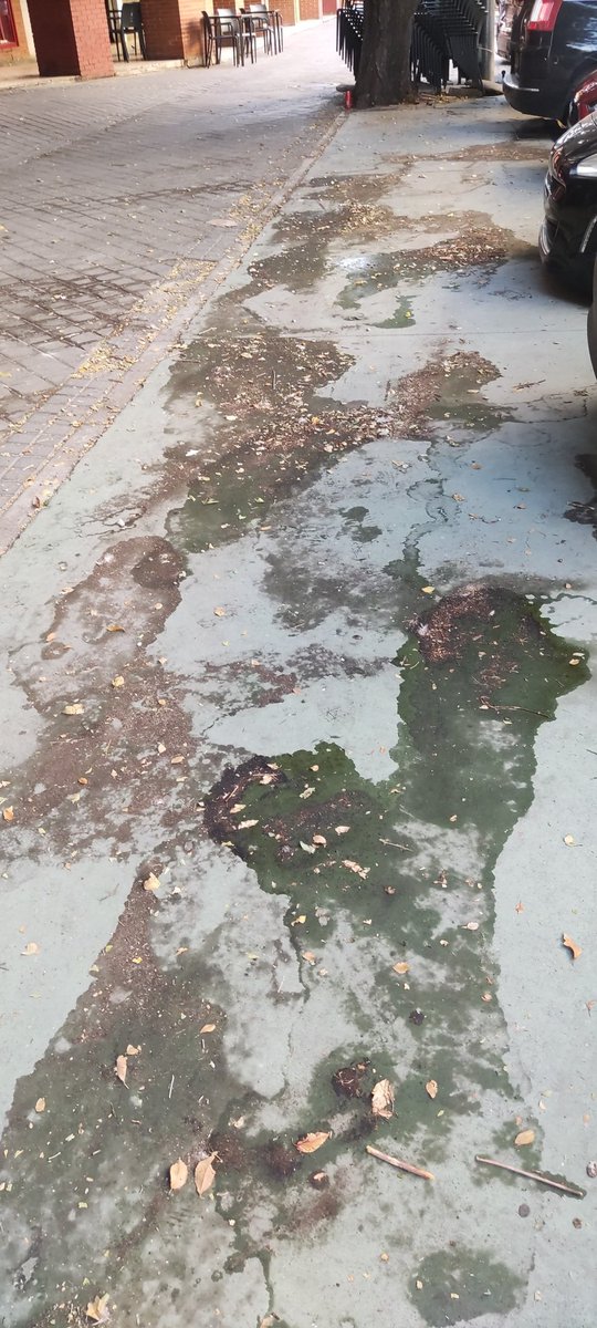 LimpioTorrejon's tweet photo. @Ayto_Torrejon @Ale_Navarro_trj imposible salir por Torrejón si n andar pisando meados. 
Es asqueroso. https://t.co/aVPFPLA7oz
