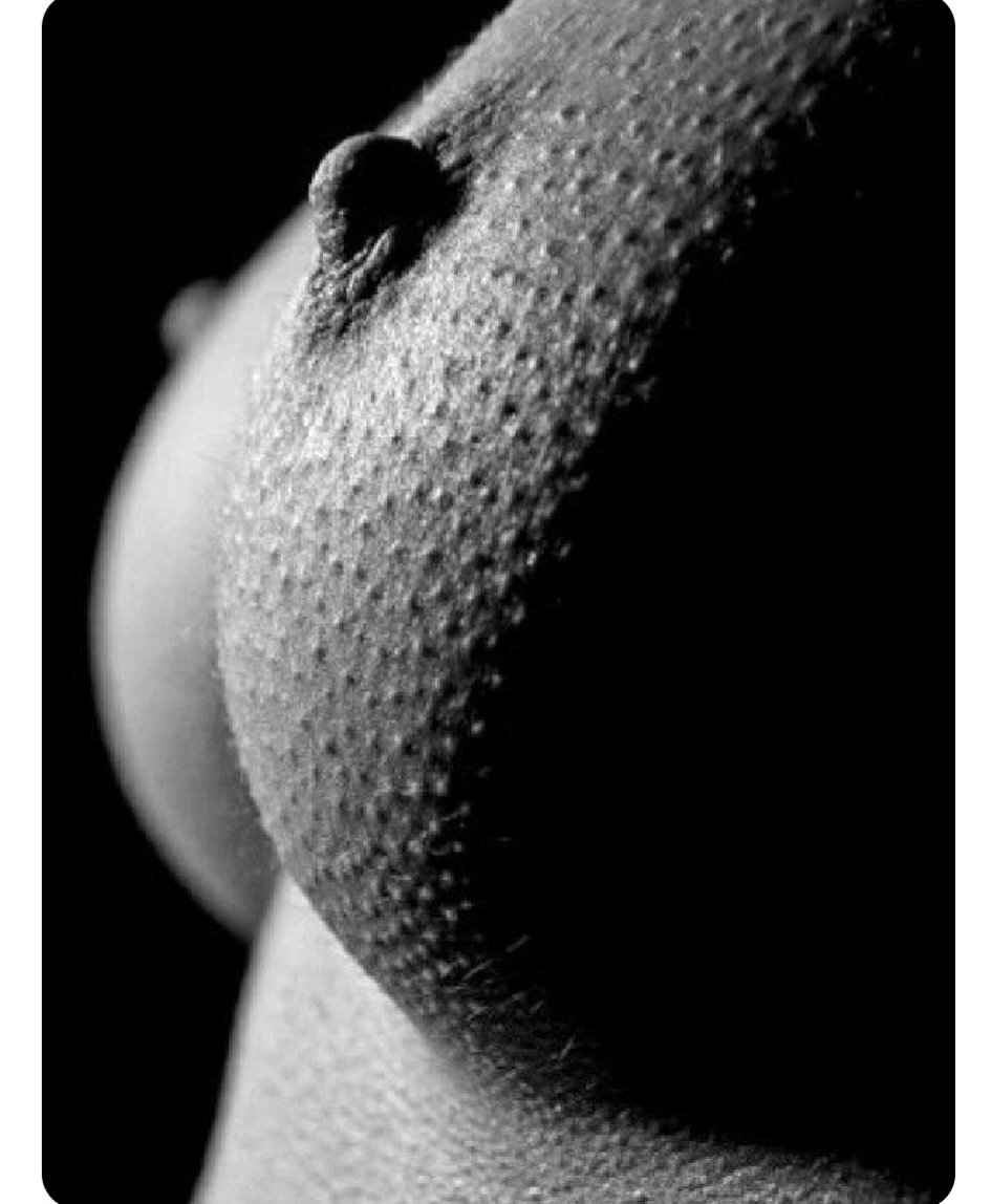 Tuesday...❤️❤️