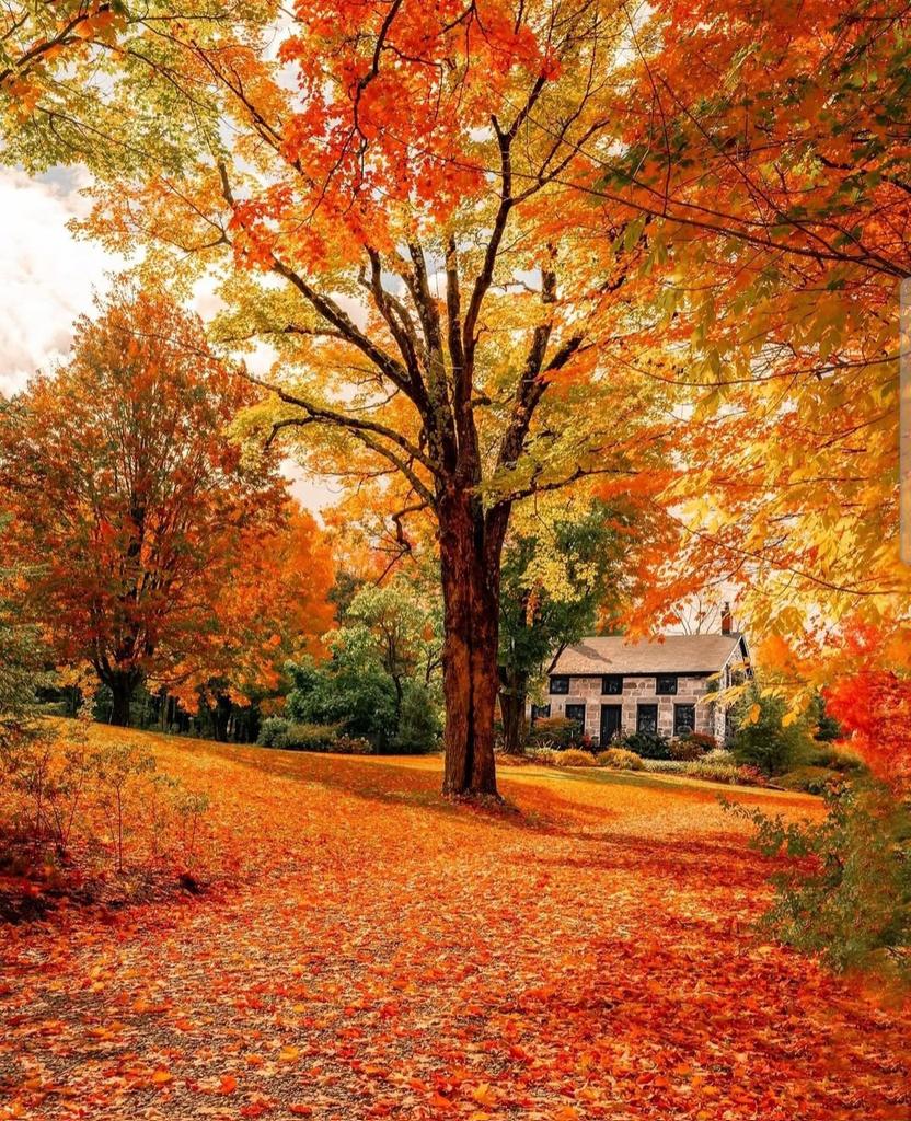 Have a terrific Tuesday friends 💐