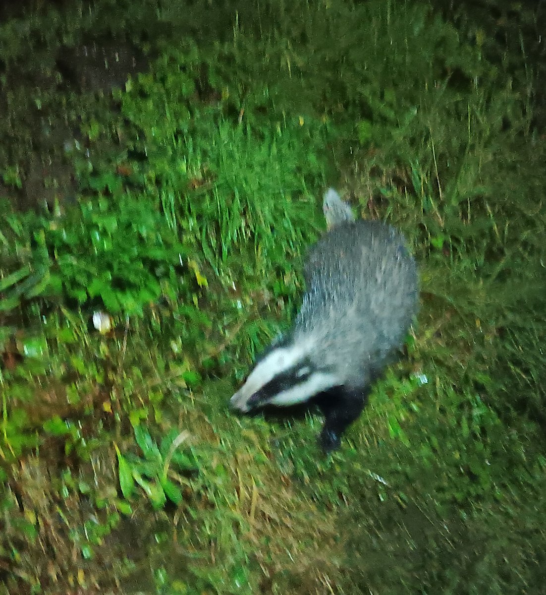 Christine Bagot tweet media