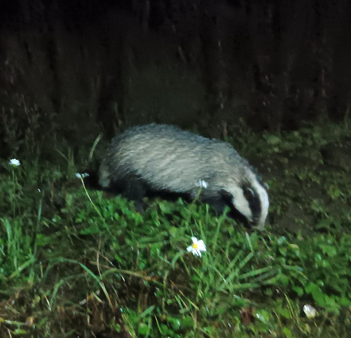 Christine Bagot tweet media