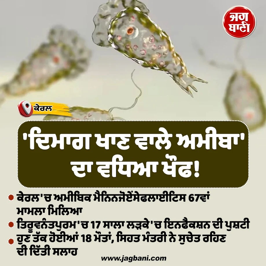 JagbaniOnline's tweet photo. 'ਦਿਮਾਗ ਖਾਣ ਵਾਲੇ ਅਮੀਬਾ' ਦਾ ਵਧਿਆ ਖੌਫ'
#67thcase #braineating #amoeba #infection #Kerala https://t.co/siE3nQUko7