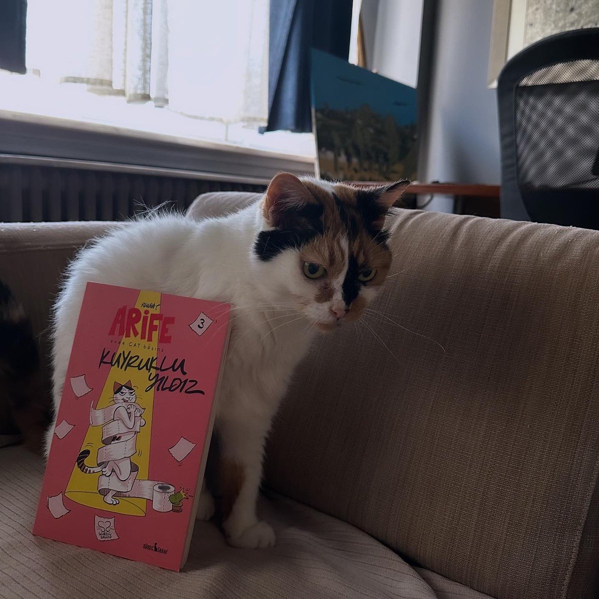 rewhat's tweet photo. EVDE DAHA ÜNLÜSÜ YOK!!! Arife’nin son eseri KUYRUKLU YILDIZ 💫 çıktı. LİNK PROFİLDE 💥🐾 https://t.co/kchvPJworE