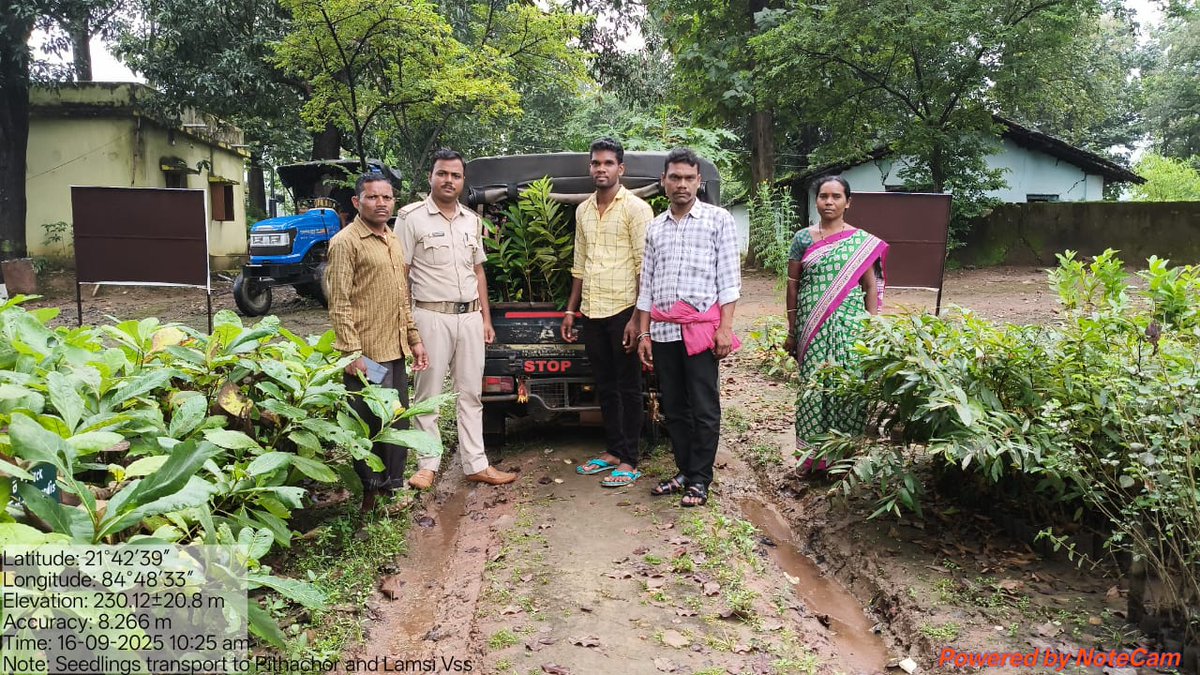 DfoBonai's tweet image. For tomorrow’s #megaplantationdrive: #seedlings #distributed to Pithachor &amp;amp; Lamsi VSS, S Bolang Section, $BonaiRange; Bandhabhuin, San-Bandhabhuin &amp;amp; Dahichor VSS, S Bolang Section, Bonai Range; and #transported to Singardei UTP, Kurda Beat, #KuliposhRange.