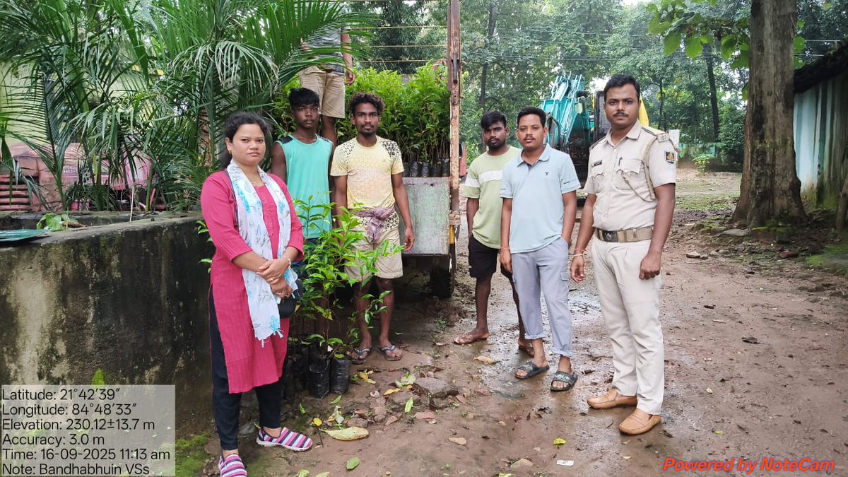 DfoBonai's tweet image. For tomorrow’s #megaplantationdrive: #seedlings #distributed to Pithachor &amp;amp; Lamsi VSS, S Bolang Section, $BonaiRange; Bandhabhuin, San-Bandhabhuin &amp;amp; Dahichor VSS, S Bolang Section, Bonai Range; and #transported to Singardei UTP, Kurda Beat, #KuliposhRange.