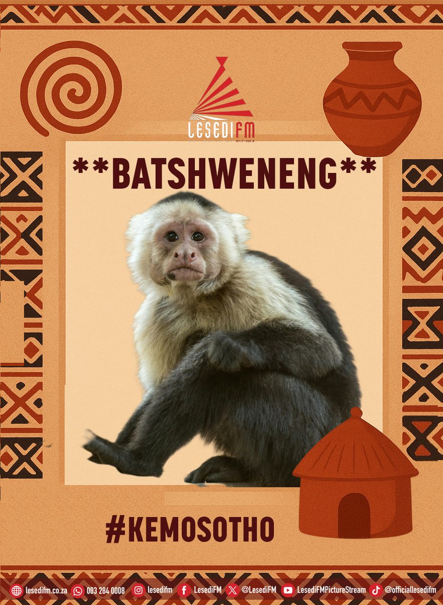 LesediFM's tweet photo. Re motlotlo le ho ikhantsha ka botjhaba ba rona. #KeMosotho
BATSHWENENG ba kae?π
π€:O tswa kae?
π:Ha 'Mantilatilane.
π€:Wa Jang?
π:Bohobe.
π€:Wa futswela kang?
π:Ka metsi a pula.
π€:Thella hee!
π:.......... https://t.co/fp4YD0Jqi7