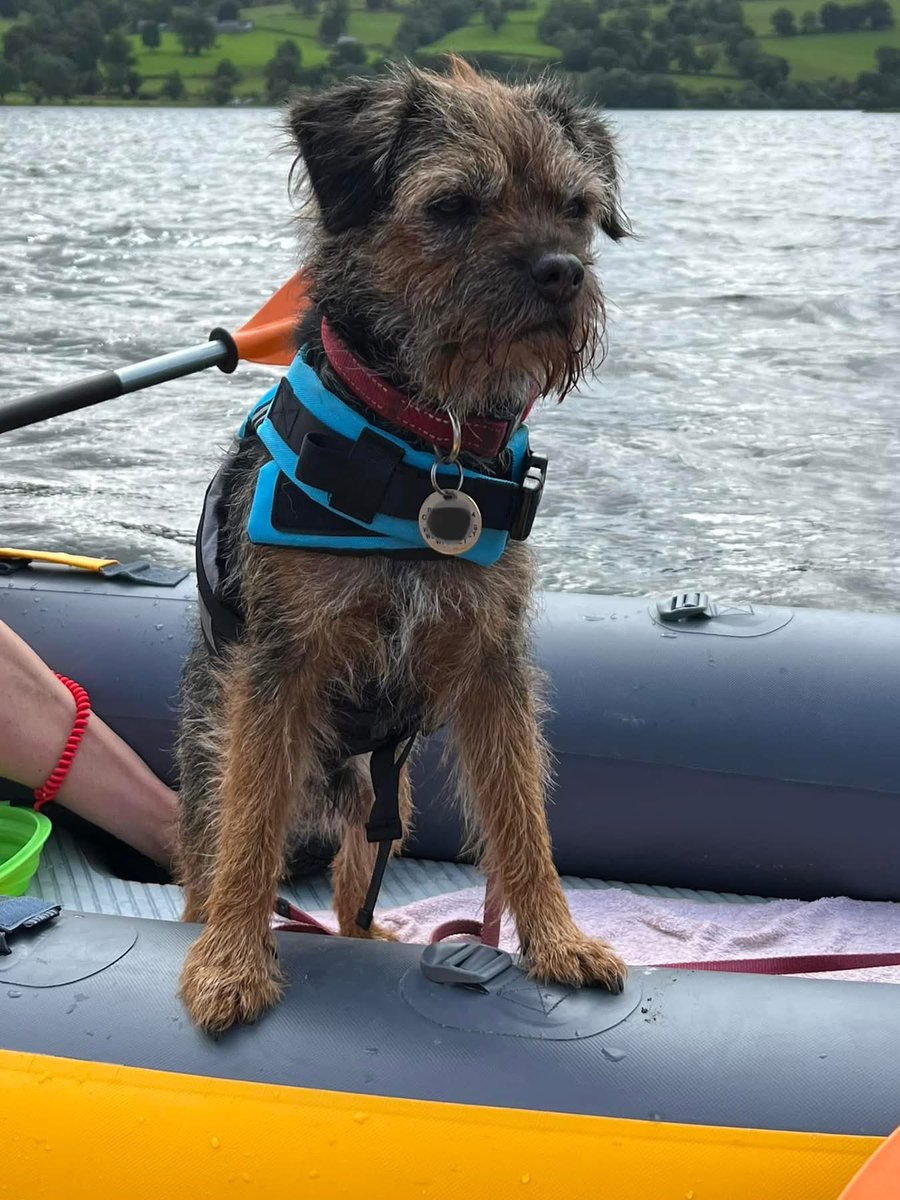 Just because we really miss him. Stanley 💔 #btposse