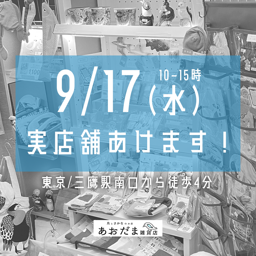 aodama_zakka's tweet photo. 🏠実店舗あけます🐥🐟
お知らせ遅くなりました！
明日17日(水)は予定通り実店舗営業予定です✨
⏰10-15時

9月は明日と9/24のみの営業。第四日曜日の営業はありません(息子保育園行事)ので、ご都合付けばぜひお越しください🥳
ただ、三鷹市は最高気温34度の予報です😇🔥

https://t.co/6yjQL0ReOY https://t.co/tIZhg1BX0D