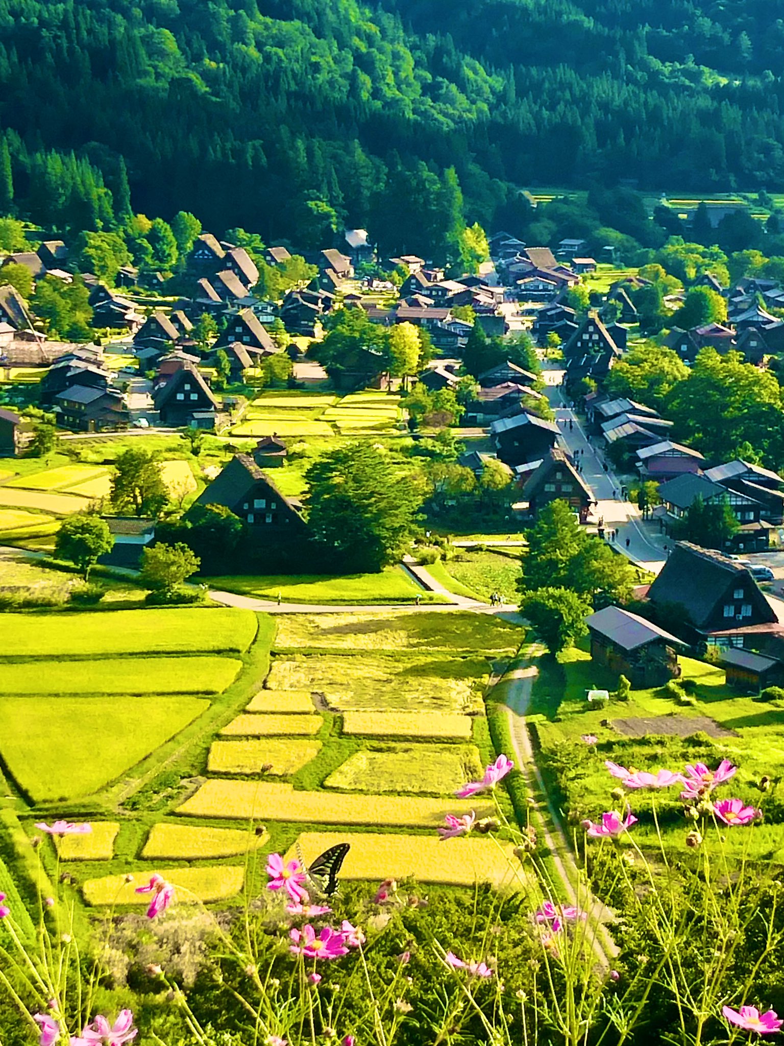 パステル画（原画）白川郷。 秋の白川郷、合掌造りの集落、岐阜県 【透明水彩風景画