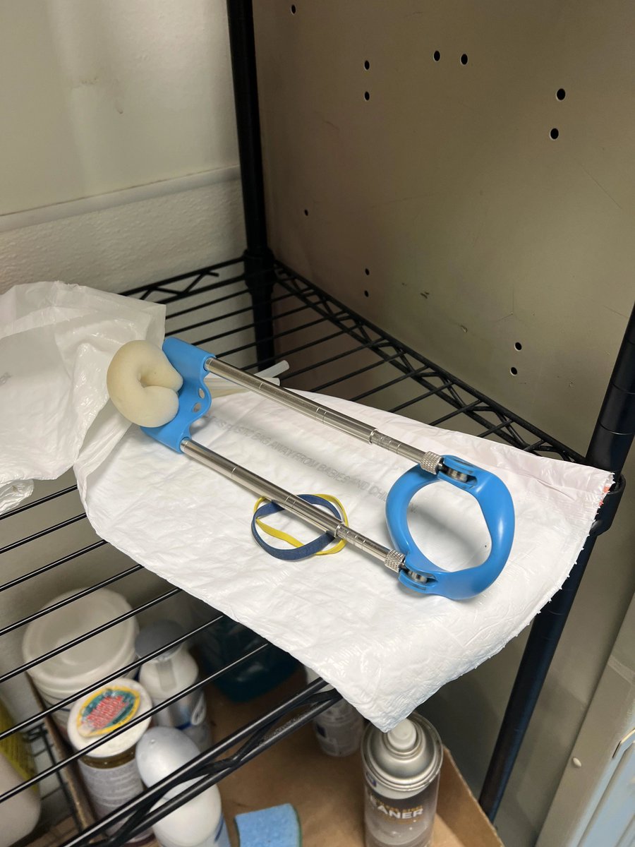 TaraBull tweet media