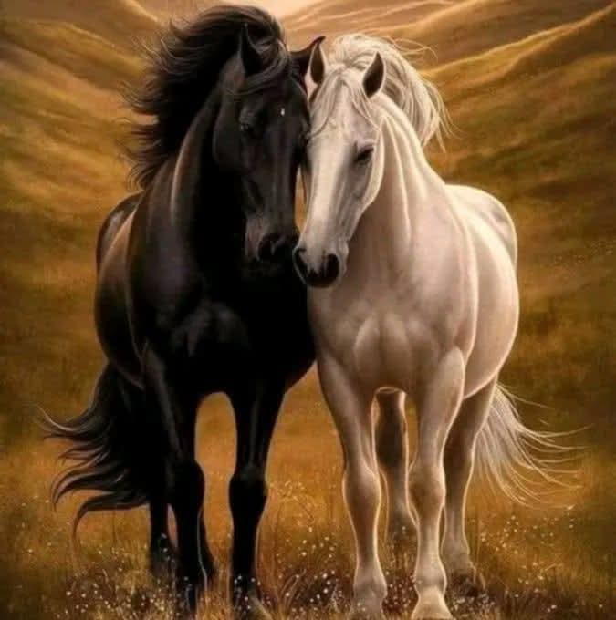 ليس معنى المودة الإتصال كل يوم ،
          وليس عدم الإتصال يعني عدم المحبة ،
و ليس كل لقاء مودة ،
                   وليس كل غياب جفاء ،
قال الإمام أحمد :
     إن لنا إخواناً لا نراهم إلا مرة في كل سنة ،
                نحن أوثق بمودتهم ممن نراهم كل يوم.
أسعد الله قلوباً إن