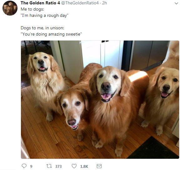 WholesomeMeme's tweet photo. https://t.co/NK8aOrSQiD