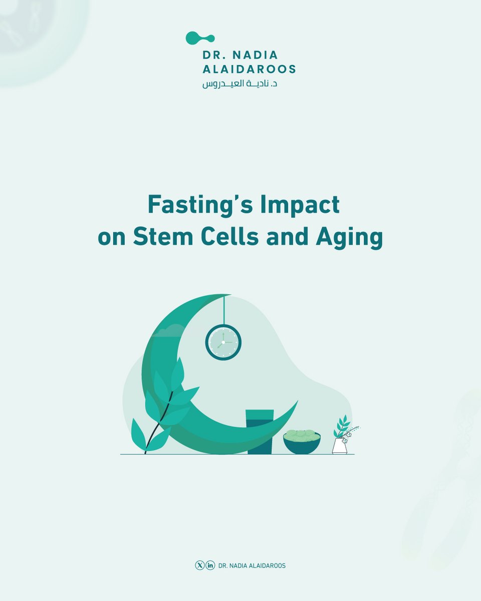 DrAlaidaroos's tweet photo. Your body’s self-repair mode: activated! 

🛠️ Here’s what happens to your cells when you fast: 
https://t.co/rJcMzCAGlV

يعمل الصيام على تفعيل وضعية التجديد الذاتي في الجسم!

إليك ما يحدث للخلايا عند الصيام:
https://t.co/OS6MFAHaSd

#صحة_الخلايا #إطالة_العمر #أبحاث_طب_الأسنان  #CellularHealth #Longevity #DentalResearch