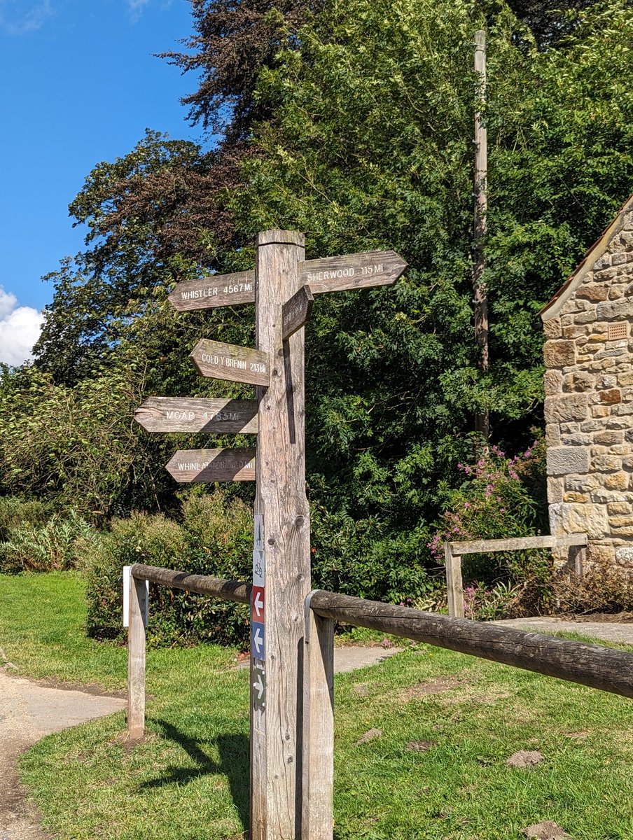 Glorious #DalbyForest, just 11 miles from #Scarborough. Hike, stroll or cycle; there are over 8500 acres of beauty for you to enjoy. #daysout