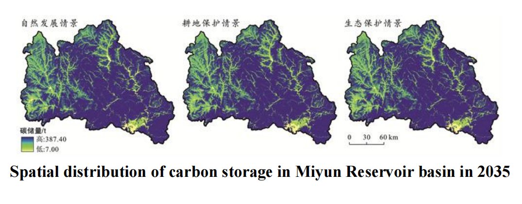 Largely thanks to forests and grasslands, carbon storage in China’s Miyun Reservoir basin increased steadily from 1985 to 2020. Predictions under three scenarios suggest continuous carbon storage growth in 2035, emphasizing the importance of ecological protection and urban