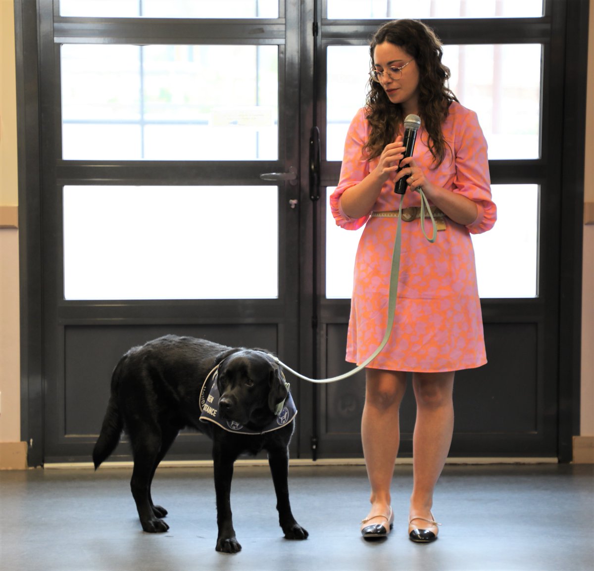 Prefet12's tweet photo. #Justice | Ugli, premier chien d’assistance judiciaire en Aveyron 🐾

Le directeur des services du cabinet était présent pour la cérémonie d’accueil d’UGLI, un labrador de deux ans et demi.

👉 Ce projet innovant porté par l’ADAVEM (Association Départementale d’Aide aux Victimes et de Méditation) vise à renforcer l’accompagnement des victimes les plus vulnérables dans leur parcours judiciaire.

Les chiens d’assistance judiciaire interviennent en particulier auprès des enfants et des personnes en détresse psychologique afin de les rassurer et les apaiser pour :
✅ faciliter les auditions et entretiens avec les forces de l’ordre et la justice ;
✅ diminuer le stress et l’anxiété ;
✅ aider les victimes à s’exprimer plus librement.

#ADAVEM #Aveyron