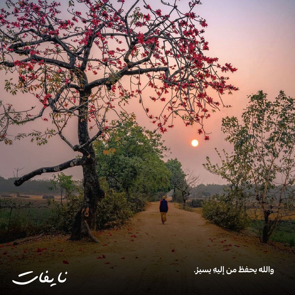 #يخبرني_الصباح أن التوكل على الله، يمنحنا الأمان والطمأنينة والتيسير في كل خطوة نخطوها.

#نايفات
#صباح_الخير