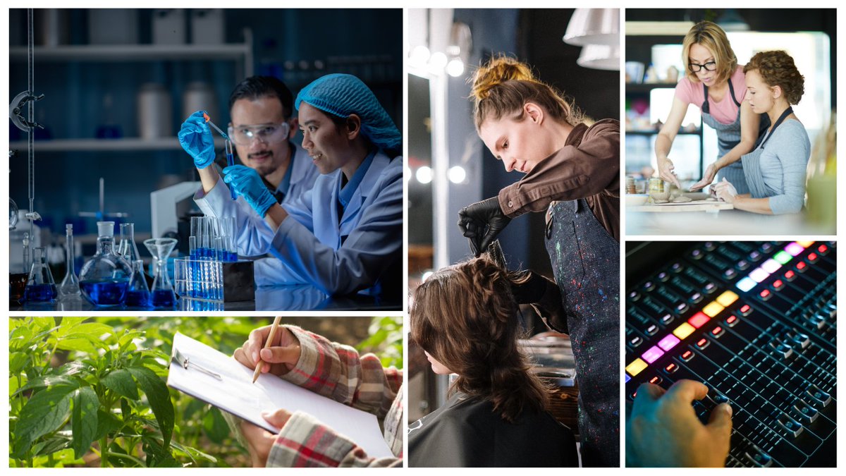 Formació contínua tweet media