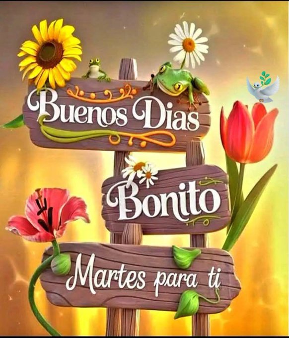 Wooden signs with the text "Buenos Dias Bonito" and "Martes para ti" in decorative script. Sunflowers, daisies, tulips, and a red flower are arranged around the signs. Two green frogs sit on the signs, and a white dove is visible near the top. A yellow background with a warm glow frames the scene.
