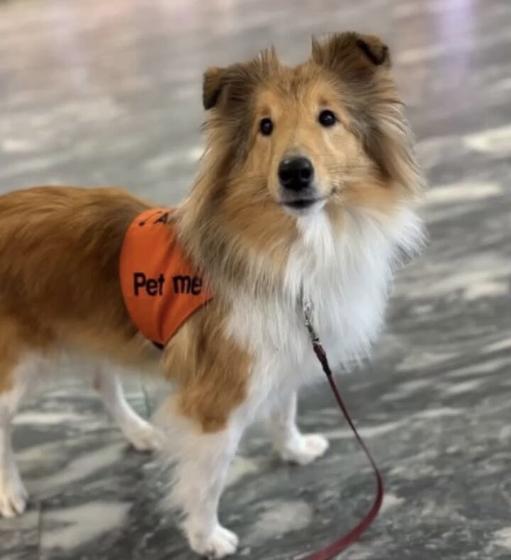 Emma Mitchell 💙 tweet media