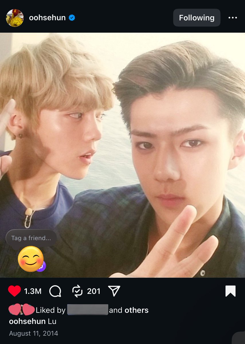 🌼🍃 ꜱᴇʀɪᴛᴀ 🐰🦊🐶🌼 tweet media