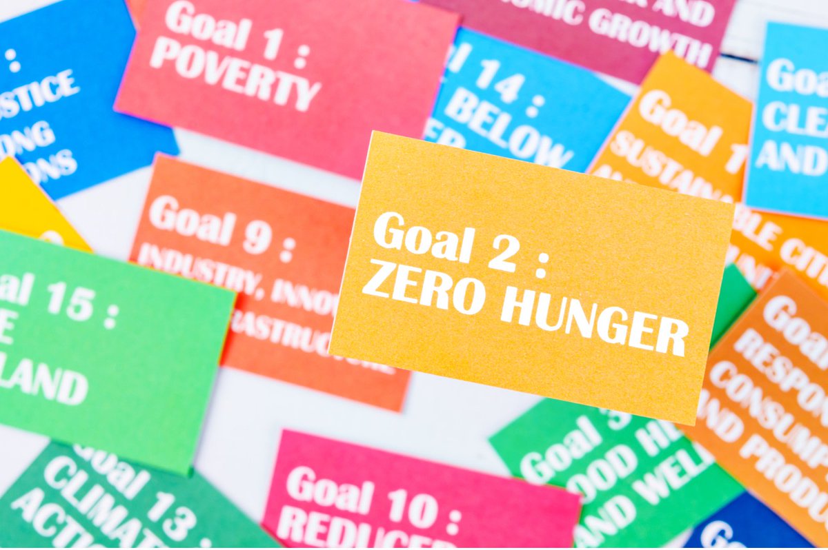 Zero Hunger Private Sector Pledge tweet media