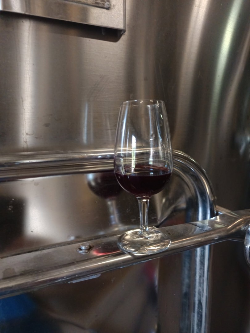PascalNerbesson's tweet photo. Début des fermentations et premiers jus 🤩. Tellement de fierté dans ce petit verre de #vin, pfiou 🥲.
Et encore plus car rendu possible grace aux copains @D_Amblevert et @ChateauCantenac 🙏.

#wine #friendship #Bordeaux #AllIsPossible #bio #organic https://t.co/rNqojTx4G3