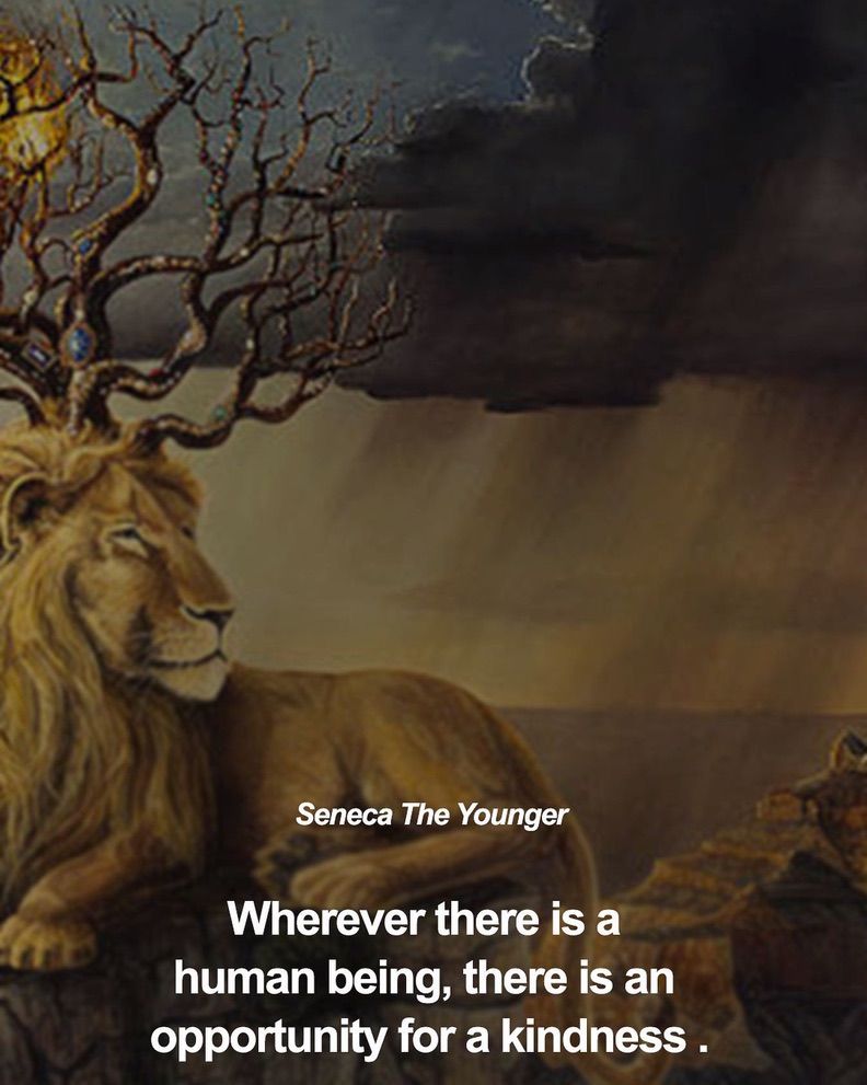 Seneca the Younger | Stoic Philosophy ✍️ (@senecaquote) on Twitter photo 