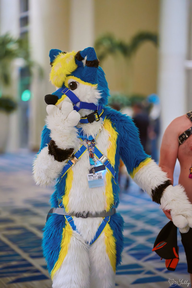 What did I just see? 
📸 <a href="/yellyXP/">YellyXP</a> 
#furry #megaplex2025