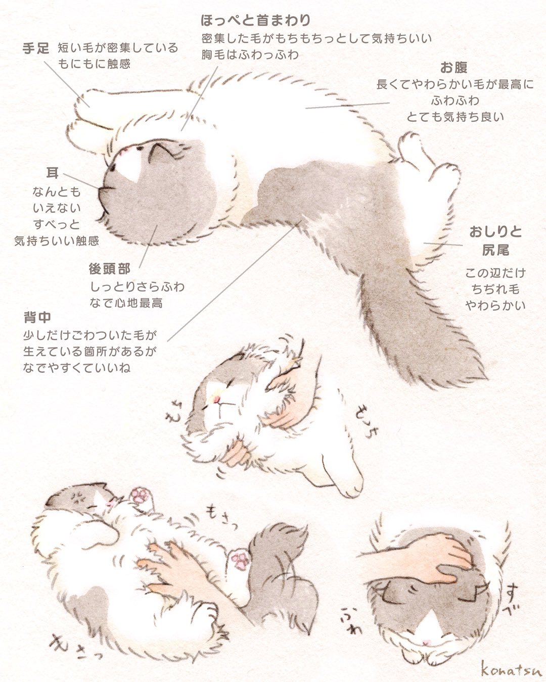 こなつ (@konatsu_tunacan) / X