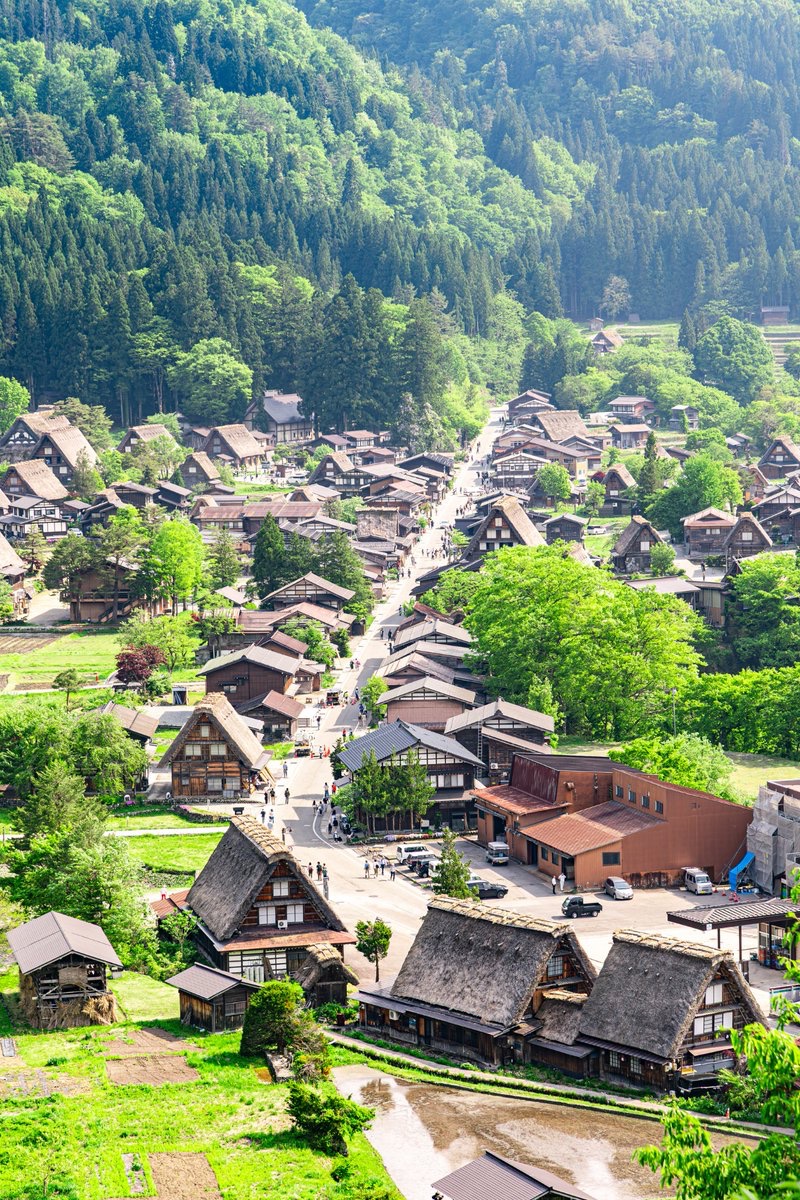 緑が美しい夏の白川郷