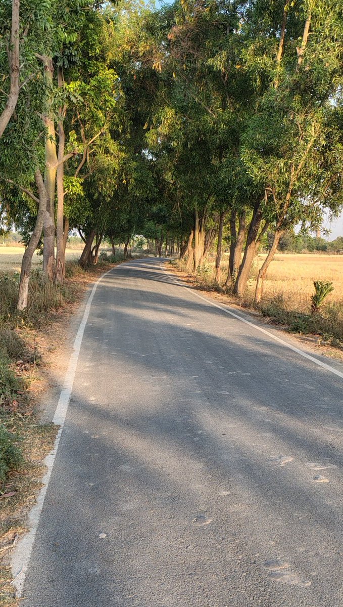 dinesh_shaw's tweet image. अपने गांव देहात का सुकून छोड़कर दिल्ली जैसे महानगर में कंक्रीट के इस जंगल में रहना हमारी मजबूरी है, हमारा शौक नहीं है।
आज के सूचना प्रौद्योगिकी के इस युग में यदि jobs का  decentralization हो जाए तो अधिकार डिग्री धारी युवाओं को बड़े शहरों में आना ही नहीं पड़ेगा।