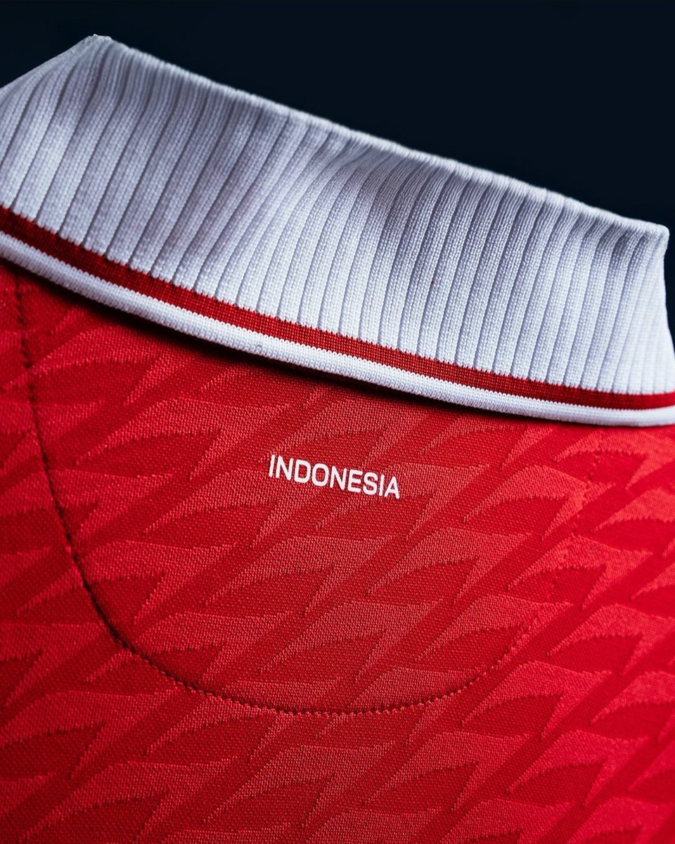 The new home jersey for Indonesia’s futsal national team is truly aesthetic ✨️

📷: Specs Indonesia