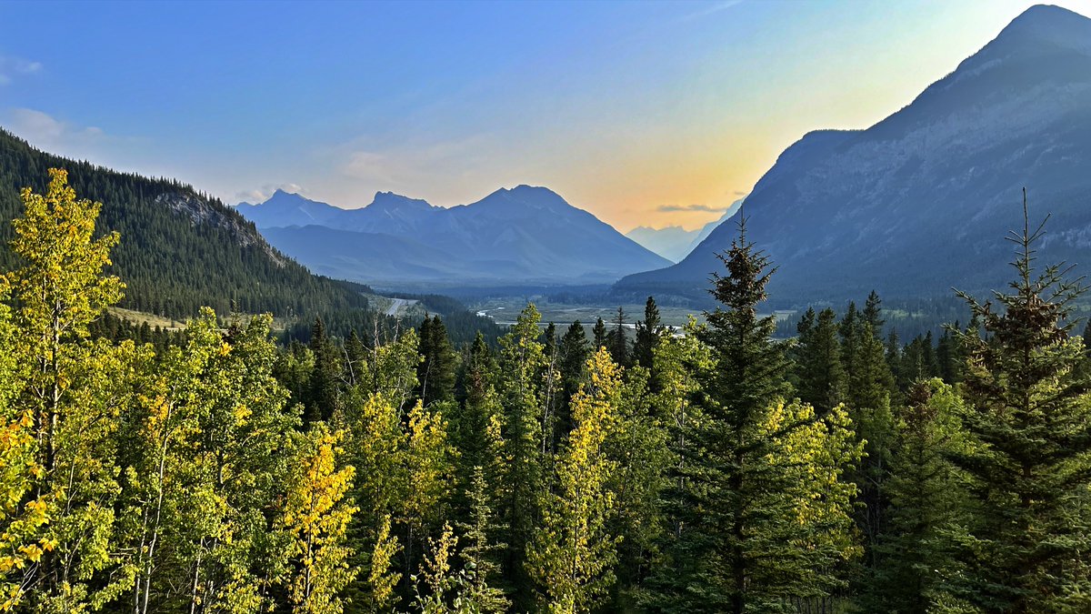 RyderDAR's tweet image. Sights on the way home from volunteering tonight.