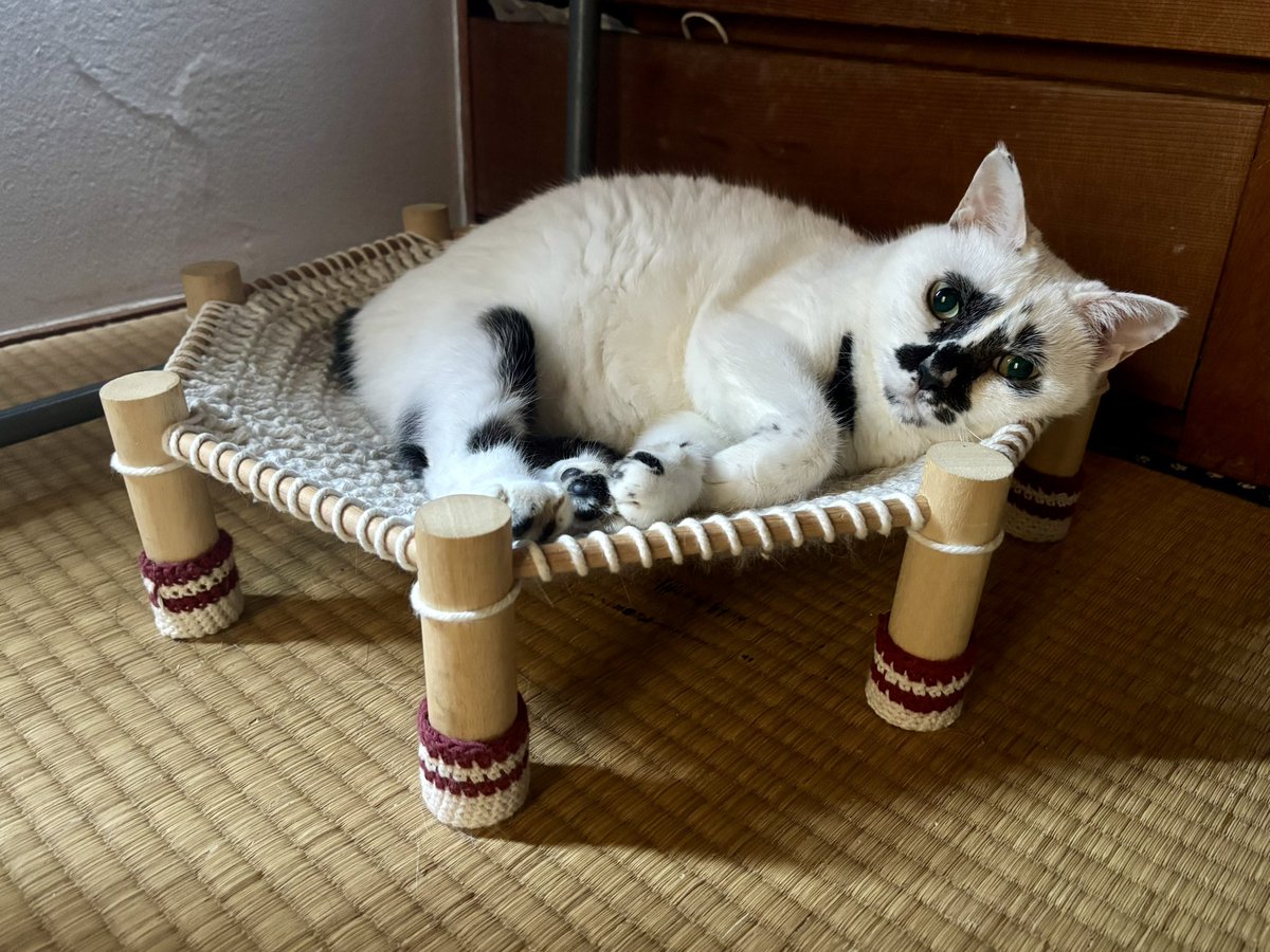 ミーはいつでもみんなを見てるよ…