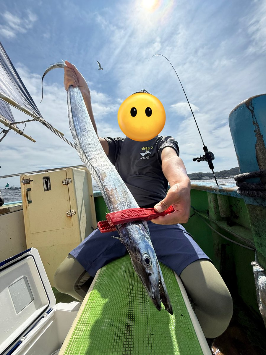 enofukase86's tweet photo. 9/14 東京湾タチウオジギング
走水沖の深場で良型連発！富津沖の浅場ではポツポツ... 
ニューアイテムのアンチョビドライバーがいい仕事してくれました☺️ https://t.co/C0N52S5aVA